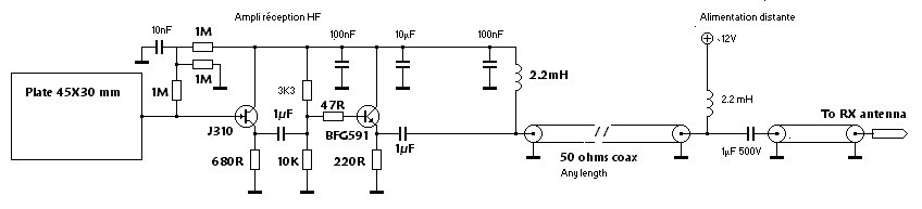 Whip 12V Whip 12V